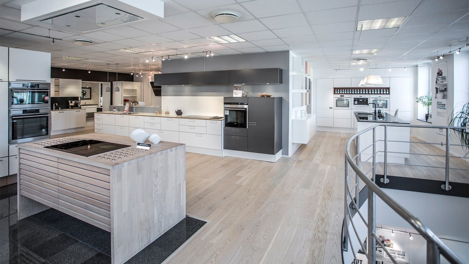 Om svane horsens
